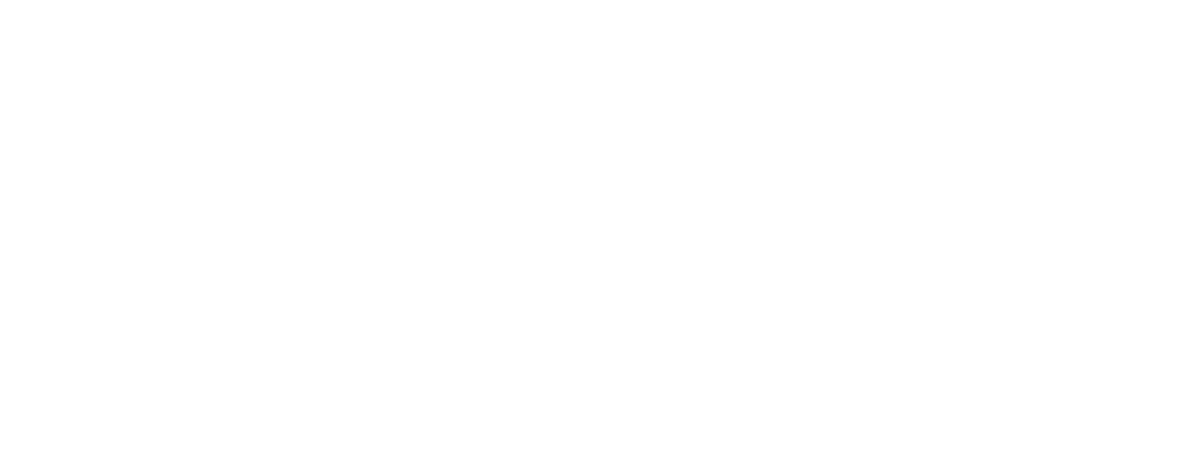 Blagnac Sporting Club Natation